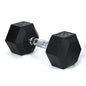 30LB (1piece)HDRS  Rubber Coated Solid Cast Iron Dumbbell with Contoured Chrome Handle, Hexagon Head
