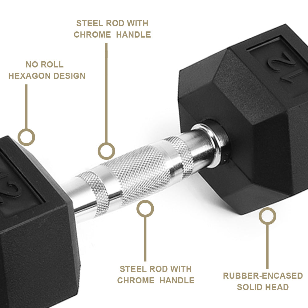 20LB (2piece)HDRS  Rubber Coated Solid Cast Iron Dumbbell with Contoured Chrome Handle, Hexagon Head【Support for self-pickup face sheet, daily face sheet submission deadline 16:00】